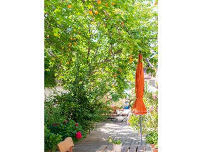 Apartment Apartment/2 Schlafräume/Dusche, WC - Outdoor photo 8