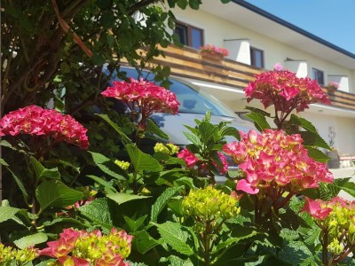 Apartment Apartment/2 Schlafräume/Dusche, WC - Outdoor photo 10