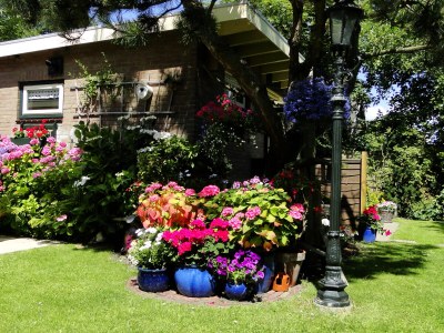 Holiday apartment Hortensia in Callantsoog - Holiday apartment