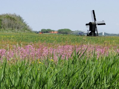 Holiday apartment Hortensia - Environment photo 15