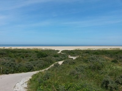 Holiday house Hoogerwerf 42 - Environment photo 25