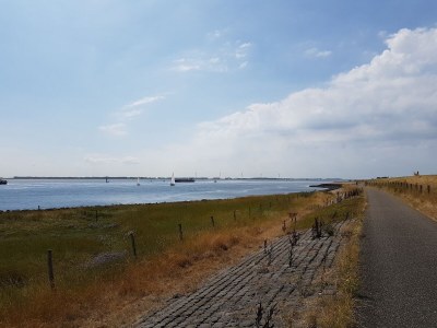 Holiday house Hoogerwerf 42 - Environment photo 29