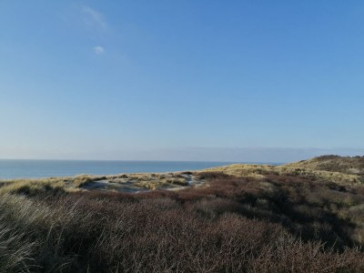 Holiday house Hoogerwerf 42 - Environment photo 31