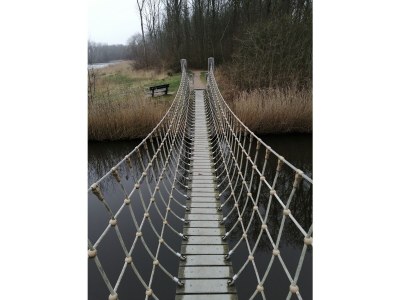 Holiday house Hoogerwerf 42 - Environment photo 32