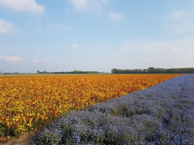 Holiday house Hoogerwerf 42 - Environment photo 33