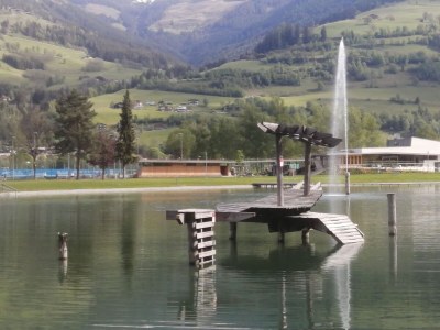 Apartment Wohnung in Niedernsill nahe Skipisten - Environment photo 34