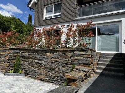 Holiday apartment Apartment Weltwald Harz I - Outdoor photo 2