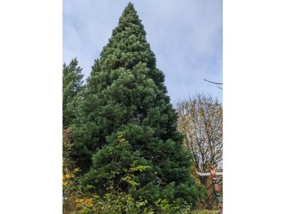 Holiday apartment Apartment Weltwald Harz I - Environment photo 20