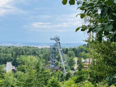 Holiday apartment Apartment Weltwald Harz I - Environment photo 23