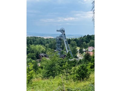 Holiday apartment Apartment Weltwald Harz I - Environment photo 30