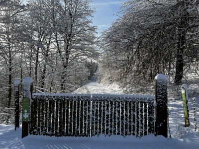 Holiday apartment Apartment Weltwald Harz I - Environment photo 31