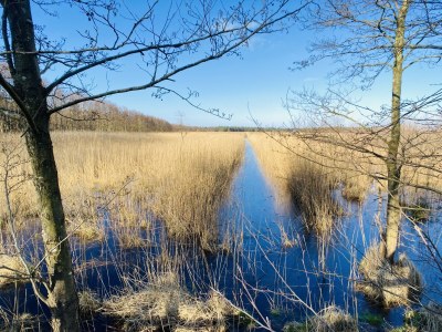 Holiday house No title - Environment photo 23