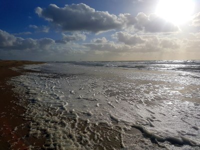 Bungalow Beach Life - Environment photo 25