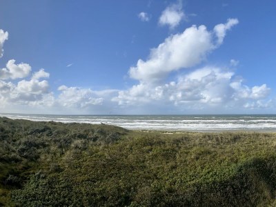 Holiday apartment Zeepanorama - Environment photo 23