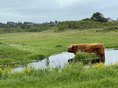 Villa Zeeweg - Environment photo 21
