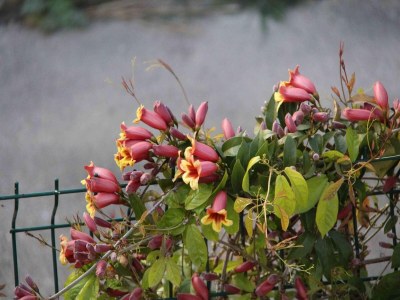 Villa Riverside Villa, Remoulins - Outdoor photo 6