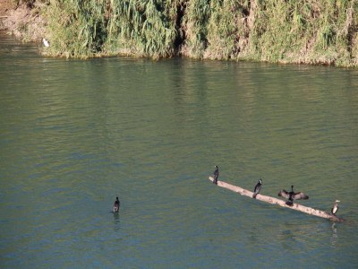 Villa Riverside Villa, Remoulins - Environment photo 33