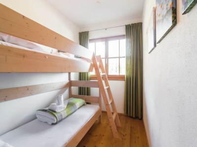 Apartment Apartment Mittersill near Ski Bus & Kitzbühel - Features photo 14