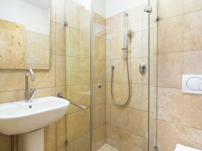 Apartment Apartment Mittersill near Ski Bus & Kitzbühel - Features photo 15