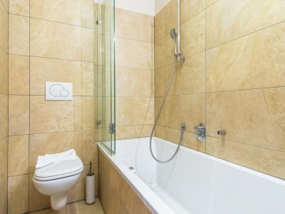 Apartment Apartment Mittersill near Ski Bus & Kitzbühel - Features photo 22