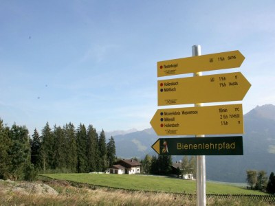 Apartment Apartment Mittersill near Ski Bus & Kitzbühel - Environment photo 32