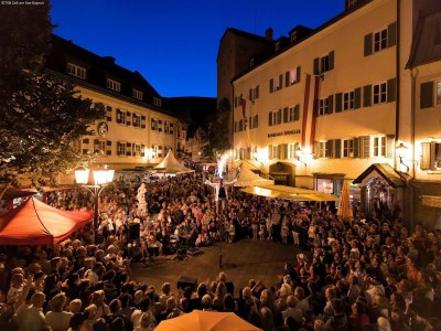 Villa Villa in Zell am See - Environment photo 21