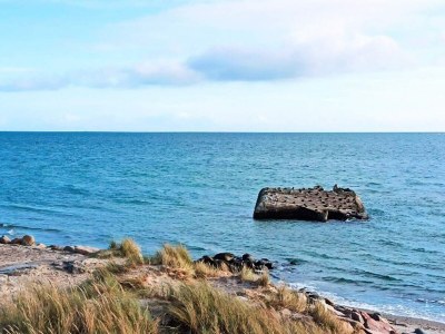 Holiday house 5 Sterne Ferienhaus in Skagen-By Traum - Outdoor photo 12