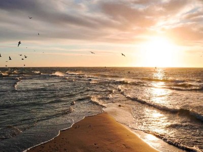Holiday house 5 Sterne Ferienhaus in Skagen-By Traum - Outdoor photo 14