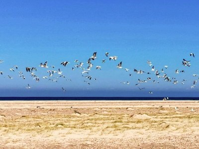 Holiday house 5 Sterne Ferienhaus in Skagen-By Traum - Outdoor photo 19