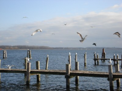 Apartment Ferienwohnung mit Garten in Zweedorf - Environment photo 32