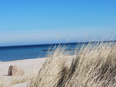 Apartment Ferienwohnung mit Garten in Zweedorf - Environment photo 35