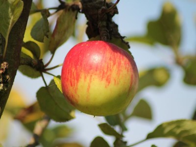 Apartment Ferienwohnung mit Garten in Zweedorf - Outdoor photo 39