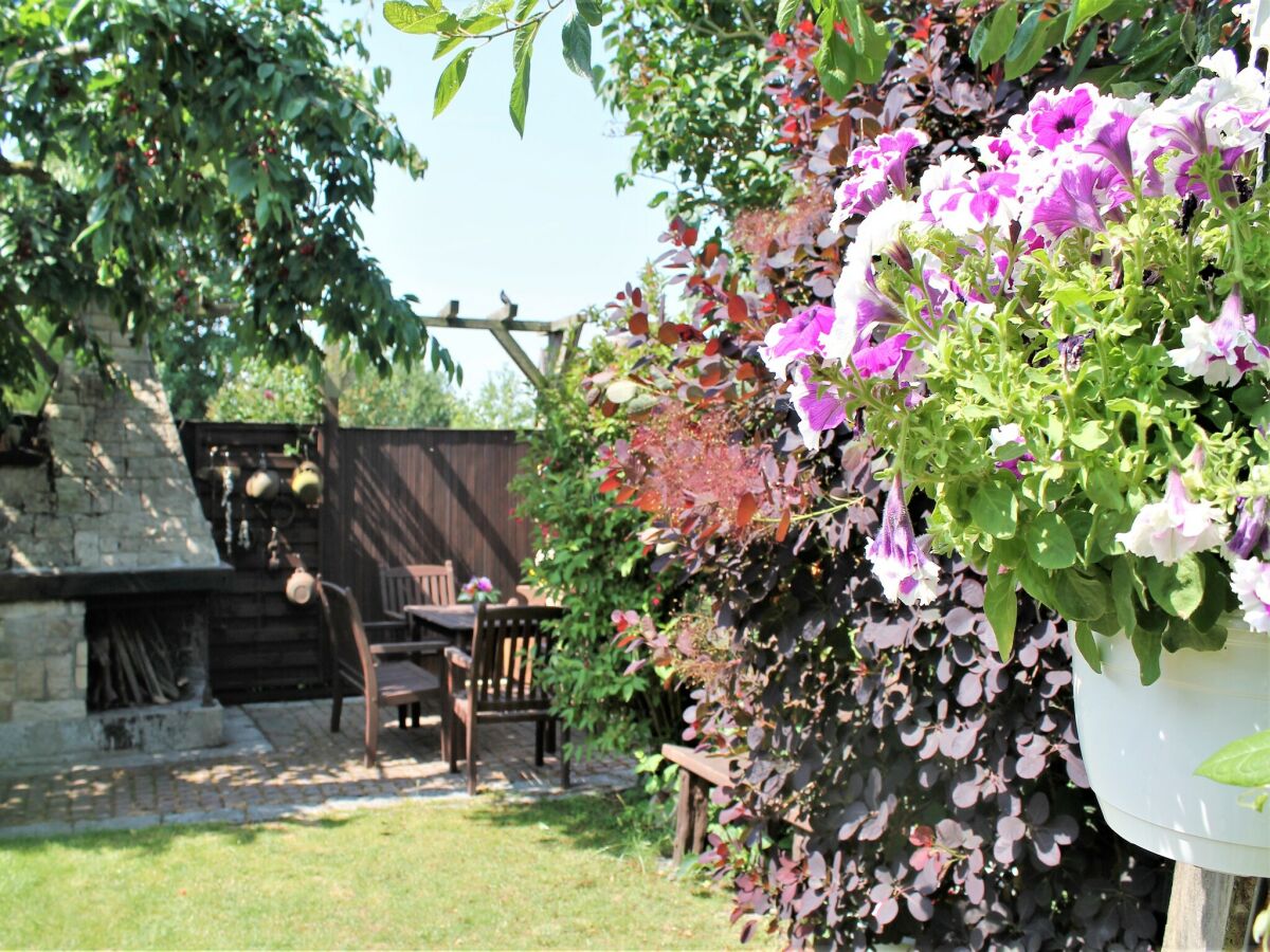 Apartment Klütz Garden Apartment - Outdoor photo 3