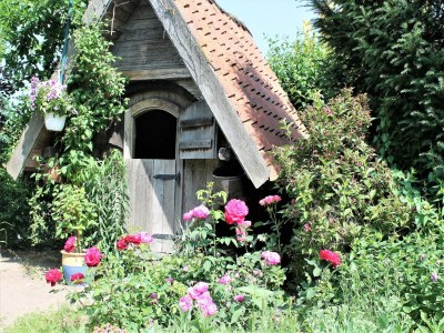 Apartment Klütz Garden Apartment - Outdoor photo 5