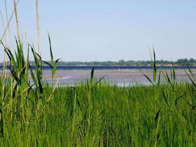 Apartment Klütz Garden Apartment - Environment photo 19