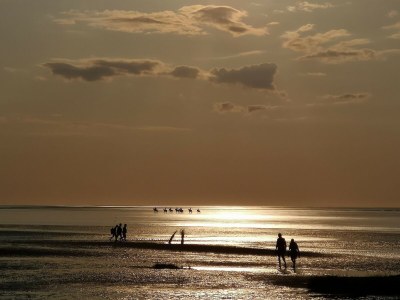 Apartment Comfort Steps from the North Sea - Environment photo 26