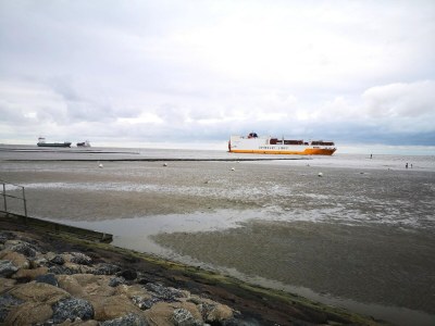 Apartment Comfort Steps from the North Sea - Environment photo 36