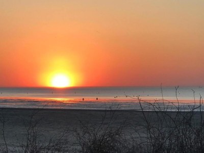 Apartment Comfort Steps from the North Sea - Environment photo 37