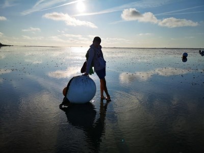 Apartment Comfort Steps from the North Sea - Outdoor photo 39