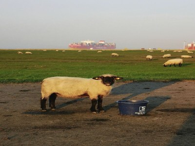 Apartment Comfort Steps from the North Sea - Outdoor photo 40