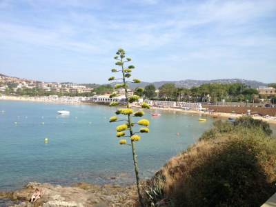 Apartment Wohnung in Sant Feliu am Strand - Environment photo 30