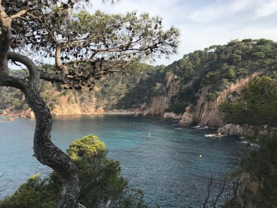 Apartment Wohnung in Sant Feliu am Strand - Environment photo 33