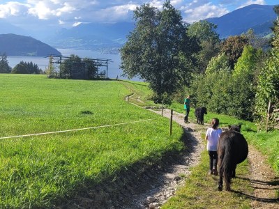 Holiday apartment Holiday Apartment Sunny Spot in a Panoramic Location - Environment photo 25