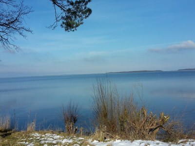 Holiday house Salzhaff Finca in Pepelow - Environment photo 24