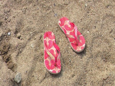 Holiday house Salzhaff Finca in Pepelow - Outdoor photo 39