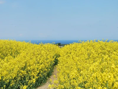 Bungalow Charmanter Bungalow in Neubukow nahe der Ostsee - Environment photo 24