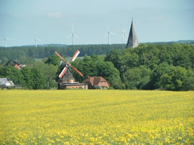 Bungalow Charmanter Bungalow in Neubukow nahe der Ostsee - Environment photo 27