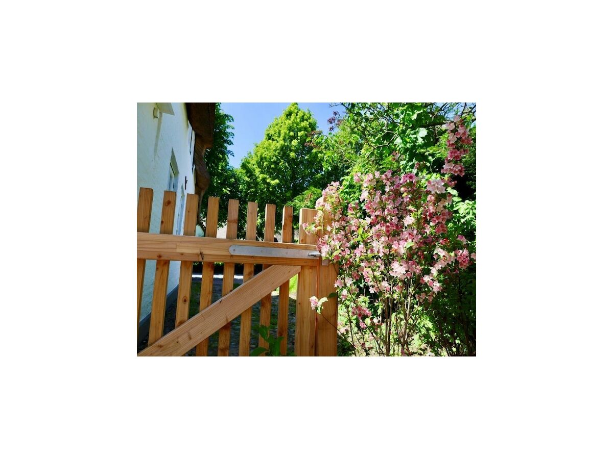 Apartment Wohnung für 4 Personen mit Garten in Nieblum - Outdoor photo 4