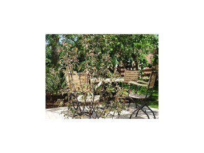 Apartment Wohnung für 4 Personen mit Garten in Nieblum - Outdoor photo 3