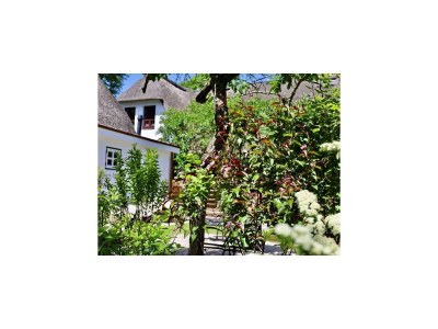 Apartment Wohnung für 4 Personen mit Garten in Nieblum - Outdoor photo 7